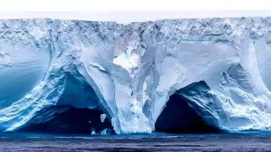 Dev Buz Dağı Güney Georgia'ya Doğru! Penguenler Tehlikede!